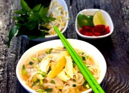 vietnameză