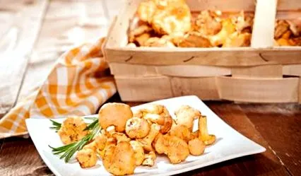 paste chanterelle