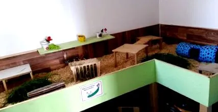 исто така