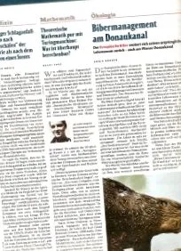 сонна артерія