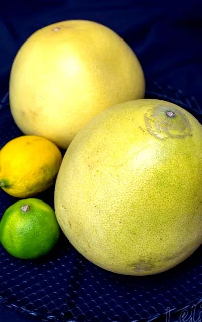 pomelo pomelo