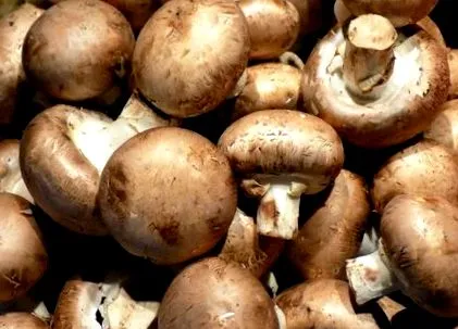 calorii