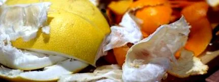 citrusfélék