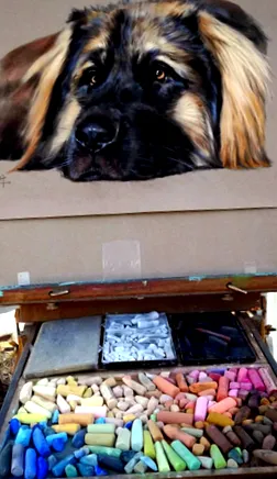katzportraitss