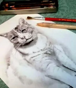 katzportraitss