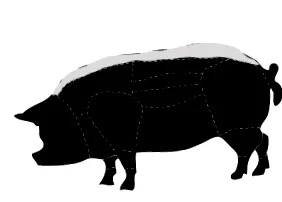 slănină