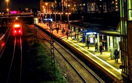 electrice pentru