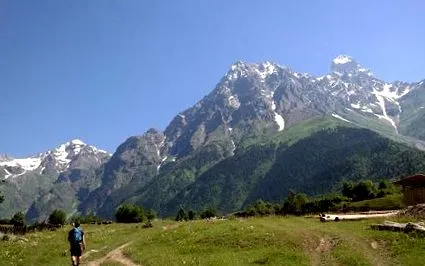 rutieră