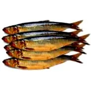füstölt balti