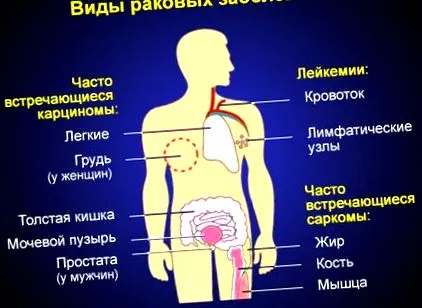 articulațiilor