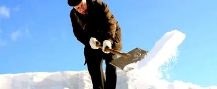 schneer