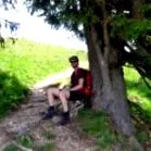 utilizare