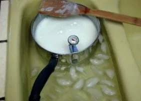 propriul