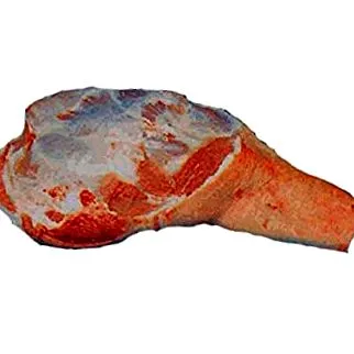 lapocka