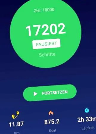 10000 педометар