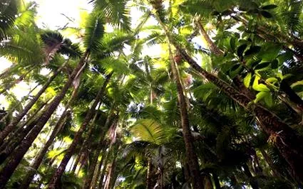 hawaii-szigeten