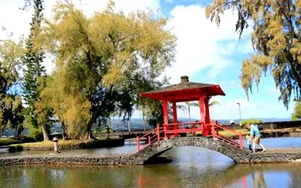 hilo-ban