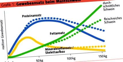 sertéshizlalás
