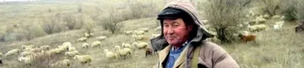 marea neagră