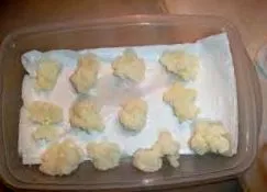 vizes kefir