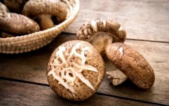 maitake
