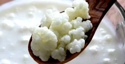 kefir