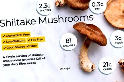 shiitake