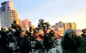 súlya