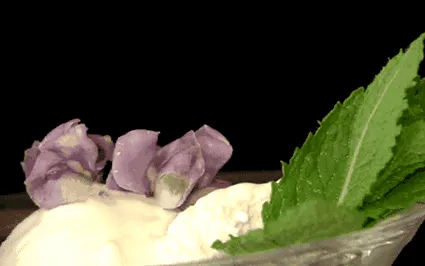 violeta preferata