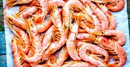 crab sănătoase