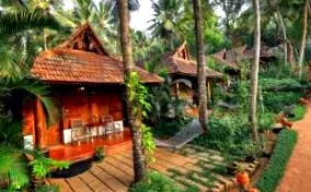 ayurveda
