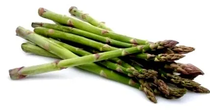 nélkül