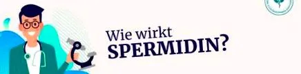 tippek