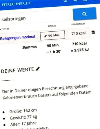 calculatorul