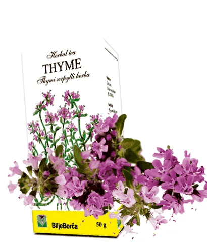 уринарниот тракт виталност