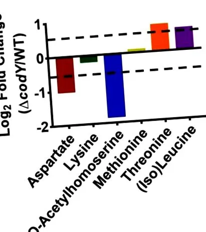 spectrometrie