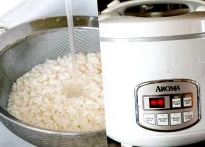 rice