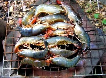 thaiföldi