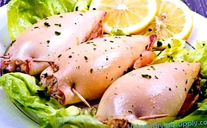 calamari