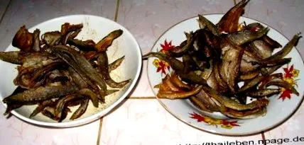 thaiföldi