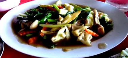 thaiföldi