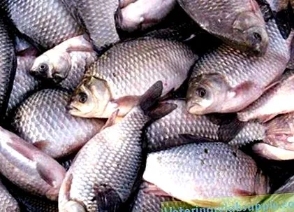 caviarul caviarul