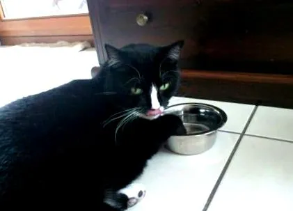 вака