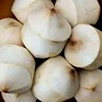 termen