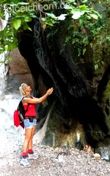pareis