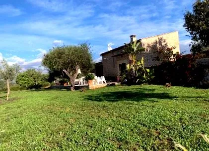 apartamente
