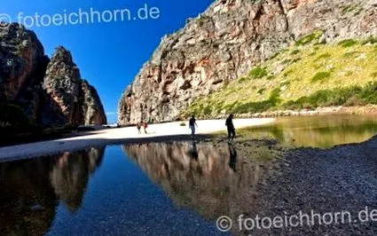 torrent