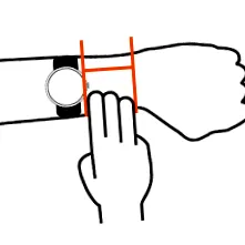 Q-Band Q-Watch