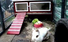 világ