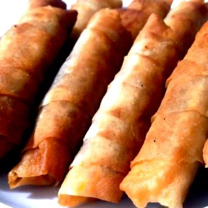 turcești